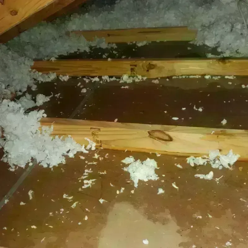 Attic Water Damage in Cornelius, OR