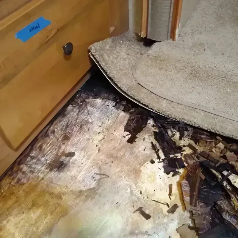 Wood Floor Water Damage in Cornelius, OR